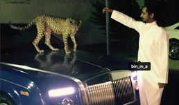 富二代国产精品,奢华生活与家国情怀的完美融合